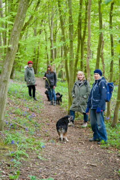 Walk in woods near Doddington- Gerry Atkinson